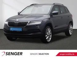 Quarz grau Gebraucht 2020 Skoda Karoq Business Line SUV | 27.990 € (Etwas zu teuer)
