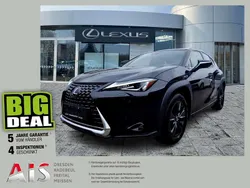 Graphite black Gebraucht 2019 Lexus UX 250h Launch Edition SUV | 22.990 € (Fairer Preis)