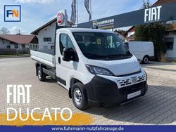 Weiß Neu 2025 Fiat Ducato Van | 29.988 € (Fairer Preis)