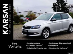 Grau Gebraucht 2018 Skoda Fabia Clever Kleinwagen | 14.900 € (Fairer Preis)