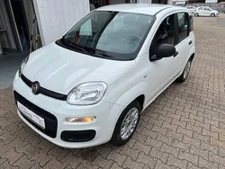 Weiß Gebraucht 2018 Fiat Panda Easy Kleinwagen | 6.980 € (Guter Preis)