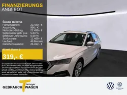 Weiß Gebraucht 2022 Skoda Octavia Ambition Kombi | 22.380 € (Guter Preis)