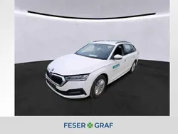 Candy weiss Gebraucht 2021 Skoda Octavia Ambition Kombi | 17.480 € (Fairer Preis)