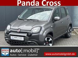 Grau Gebraucht 2023 Fiat Panda Cross Kleinwagen | 12.480 € (Fairer Preis)