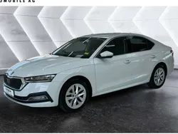 Weiß Gebraucht 2023 Skoda Octavia Style Kombi | 25.490 € (Guter Preis)