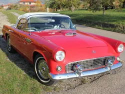 Rot Gebraucht 1955 Ford Thunderbird Cabrio | 46.800 €