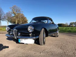 Schwarz Gebraucht 1964 Alfa Romeo Giulia Spider Cabrio | 68.000 €