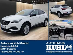 Jade weiß Gebraucht 2020 Opel Grandland X Ultimate SUV | 21.990 € (Teuer)