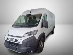 Weiß Gebraucht 2024 Fiat Ducato Van | 28.999 € (Superpreis)