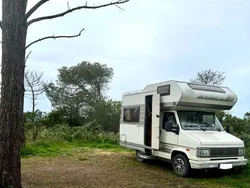 Braun Gebraucht 1991 Fiat Talento Van | 14.500 €