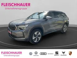 Grau Gebraucht 2024 Skoda Kodiaq Selection SUV | 43.980 € (Fairer Preis)