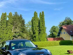 Schwarz Gebraucht 2016 Mini Cooper S Kleinwagen | 15.500 € (Fairer Preis)