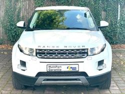 Weiß Gebraucht 2015 Land Rover Range Rover evoque Pure SUV | 11.499 € (Superpreis)