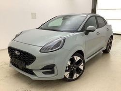 Cactus gray Gebraucht 2024 Ford Puma ST-Line SUV | 23.950 € (Guter Preis)