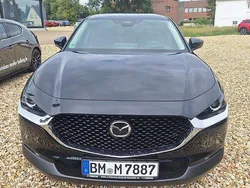Neu 2025 Mazda CX-30 Homura-Line SUV | 27.950 €