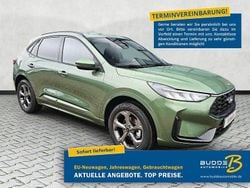 Burstinggreen metallic Neu 2025 Ford Kuga ST-Line SUV | 36.490 € (Superpreis)