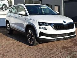 Moonweiss metallic Neu 2025 Skoda Karoq Tour SUV | 38.990 € (Etwas zu teuer)