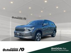 Graphitegraumetallic Gebraucht 2024 Skoda Kodiaq Selection SUV | 49.750 € (Etwas zu teuer)