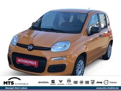 Orange Gebraucht 2021 Fiat Panda Easy Kleinwagen | 11.990 € (Etwas zu teuer)