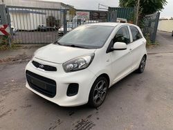 Weiß Gebraucht 2016 Kia Picanto Edition 7 Kleinwagen | 3.650 € (Fairer Preis)