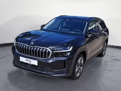 Blackmagic perleffekt Gebraucht 2024 Skoda Kodiaq Selection SUV | 44.460 € (Guter Preis)