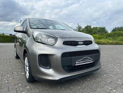 Grau Gebraucht 2016 Kia Picanto Kleinwagen | 4.500 € (Fairer Preis)