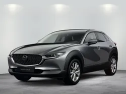 Neu 2025 Mazda CX-30 Homura-Line SUV | 27.950 €