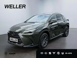 Gruen Gebraucht 2022 Lexus NX350h E-FOUR Executive Line SUV | 48.980 € (Teuer)
