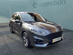Grau Gebraucht 2023 Ford Kuga ST-Line SUV | 33.780 €