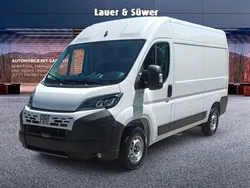 Weiß Neu 2025 Fiat Ducato Van | 33.201 € (Fairer Preis)