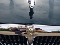 Grün Gebraucht 1996 Jaguar XJ Limousine | 18.900 €