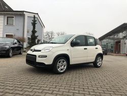 Weiß Gebraucht 2024 Fiat Panda Kleinwagen | 15.989 € (Teuer)