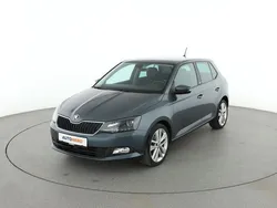 Grau Gebraucht 2016 Skoda Fabia Joy Limousine | 10.320 € (Fairer Preis)