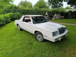 Gebraucht 1983 Chrysler Le Baron Cabrio | 1.750 €