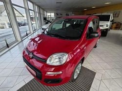 Rot Gebraucht 2025 Fiat Panda Limousine | 13.450 € (Superpreis)