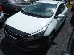 Weiß Gebraucht 2015 Kia ProCeed Edition 7 Kleinwagen | 2.200 €