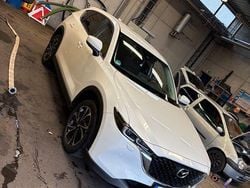 Weiß Gebraucht 2024 Mazda CX-5 Exclusive SUV | 35.399 € (Fairer Preis)
