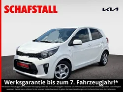 Weiss ((ud) schneeweiss) Gebraucht 2024 Kia Picanto Vision Kleinwagen | 14.979 € (Guter Preis)
