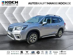 Silber Gebraucht 2020 Subaru Forester Comfort SUV | 25.750 € (Guter Preis)