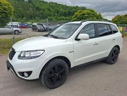 Weiß Gebraucht 2012 Hyundai Santa Fe Premium SUV | 5.900 € (Superpreis)