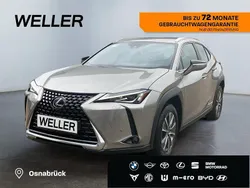 Silber Gebraucht 2022 Lexus UX 300e SUV | 29.950 € (Etwas zu teuer)