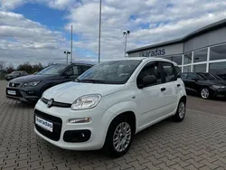 Weiss Gebraucht 2020 Fiat Panda Easy Kleinwagen | 9.800 € (Fairer Preis)