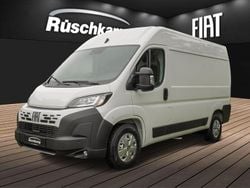 Weiss (pastell)) (weiss Neu 2025 Fiat Ducato Van | 38.680 € (Fairer Preis)