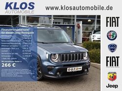 Blau Gebraucht 2024 Jeep Renegade SUV | 25.490 € (Etwas zu teuer)