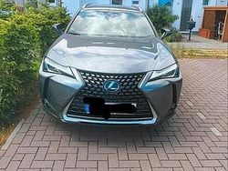 Grau Gebraucht 2019 Lexus UX 250h SUV | 21.000 € (Guter Preis)