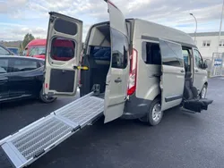 Grau Gebraucht 2015 Ford Transit Custom Van / Kleinbus | 23.400 €