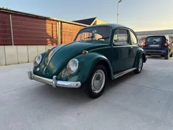 Grün Gebraucht 1965 VW Käfer Coupé | 17.800 €