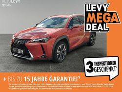 Rot Gebraucht 2024 Lexus UX 250h SUV | 32.887 € (Etwas zu teuer)