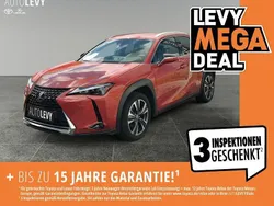Rot Gebraucht 2024 Lexus UX 250h SUV | 33.986 € (Etwas zu teuer)