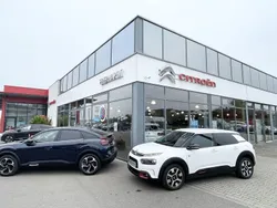 Polarweiß Gebraucht 2020 Citroën C4 Cactus Feel Kleinwagen | 13.666 € (Fairer Preis)